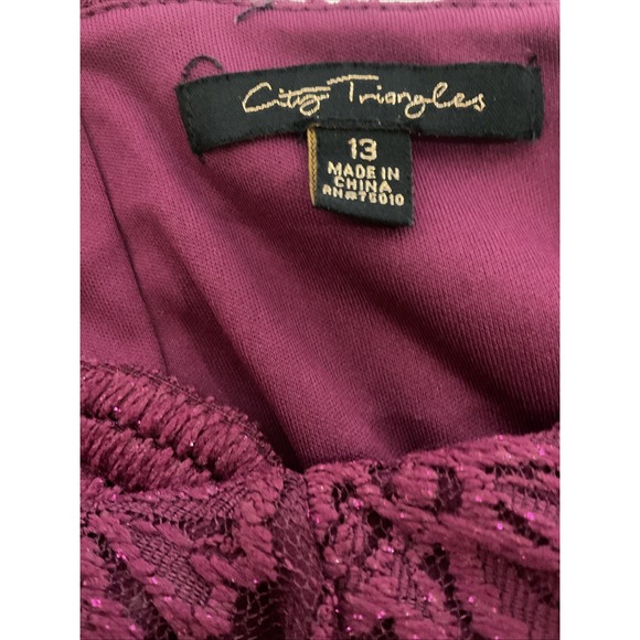 City Triangles Lace‎ Fit and Flare Dress Size 13 Purple L74 - Picture 6 of 12